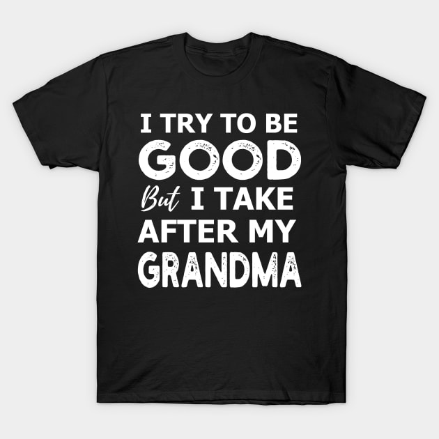 I Try To Be Good But I Take After My Grandma T-shirt For Men, Women, Boys, Girls, Youth And Kids - Funny Shirt With Sayings T-Shirt by parody